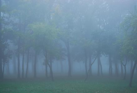 La sensation de déjà vu