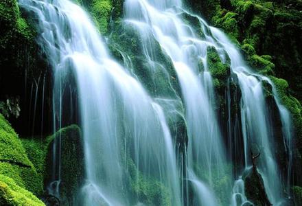 Physique quantique, neurosciences et développement personnel