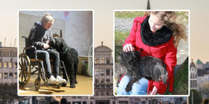 Journée découverte à Bruxelles, qu'est-ce que la zoothérapie ou thérapie facilitée par l'animal ou coaching assisté par l'animal ?