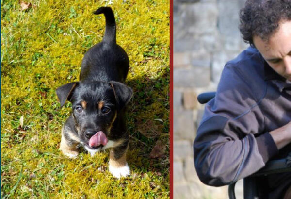 Formation une année en médiation animale