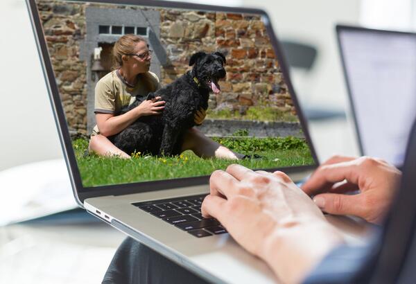 Séance d'informations gratuite sur la médiation animale, la zoothérapie