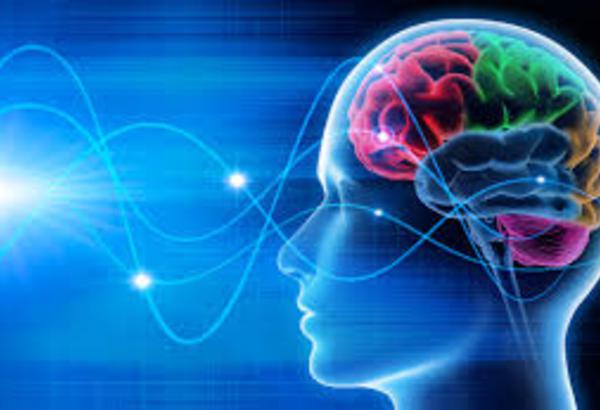 Formation en thérapie neurocognitive et comportementale