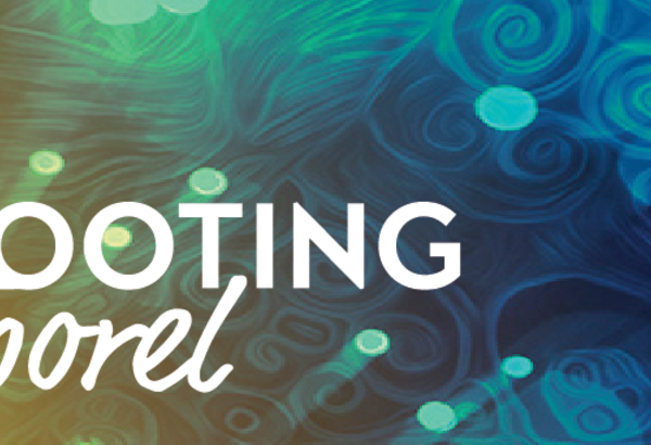 Stage de Rooting Corporel