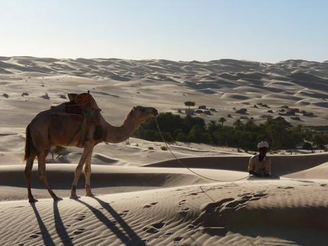 La vidéo d'une randonnée en Mauritanie