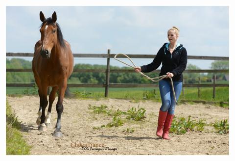 Le coaching assisté par les chevaux. 