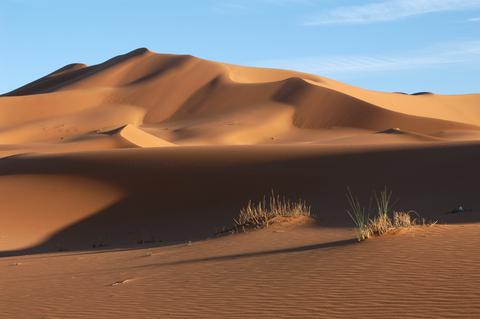 Carole dans le désert