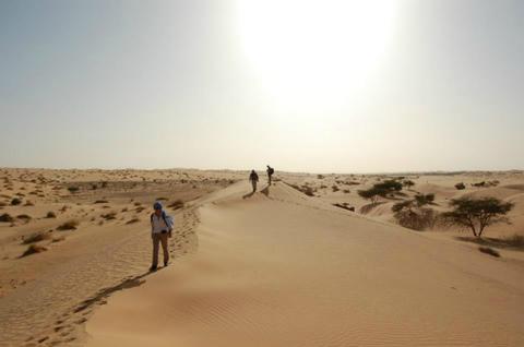 Le témoignage de Nicole après son stage dans le désert en Mauritanie !