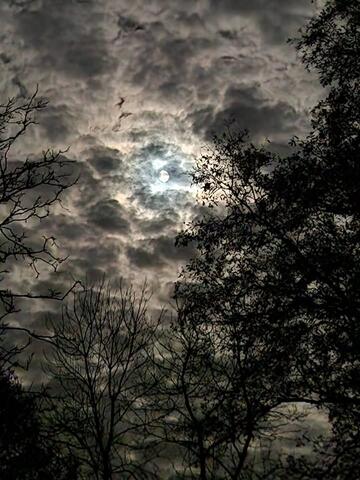 J'honore 2024, j'accueille 2025