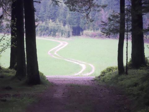 Vers une clinique psychomotrice