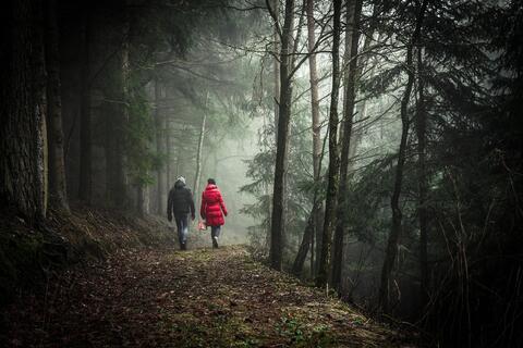 Initiation à la Walking Therapy