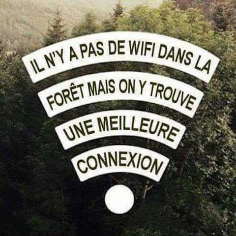 Initiation à la Walking Therapy